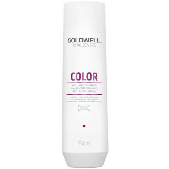 Goldwell Dualsenses Color szampon do włosów farbowanych 250ml