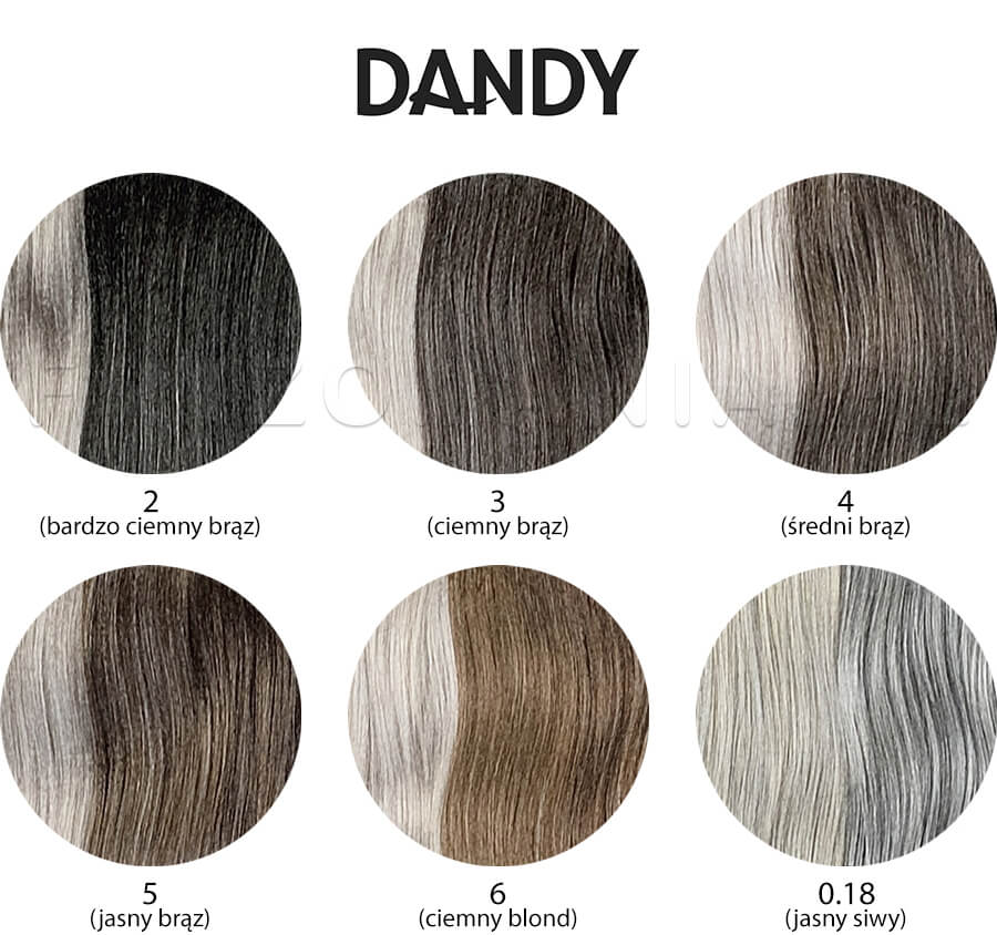 Odsiwiacz dla meżczyzn Dandy for Men - paleta kolorów