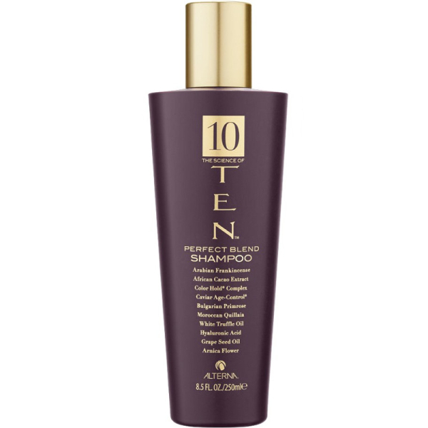 Alterna TEN szampon regenerujący do włosów osłabionych 250ml